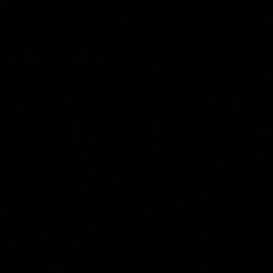 Meet your Posher, Mason